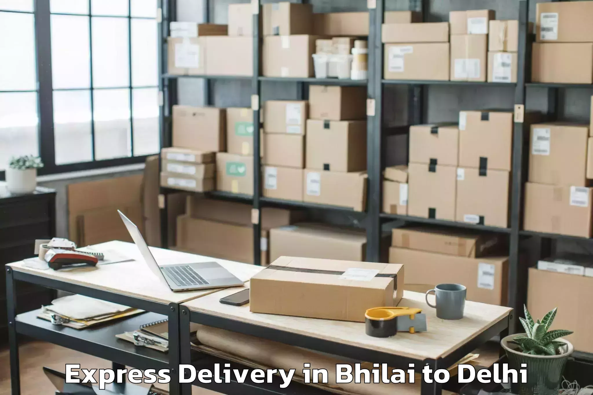 Expert Bhilai to Shahdara Express Delivery